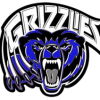 Grizzlies-100x100